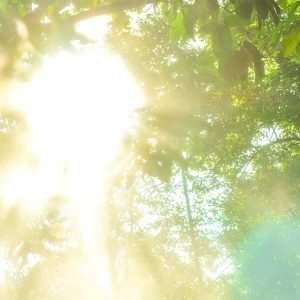 Een kleine retraite in de ochtend. Stilte, yoga en ademwerk. We hebben de tijd, er is geen haast. Tenminste, niet deze ochtend. Met hernieuwde en lichte energie stap je weer naar buiten.