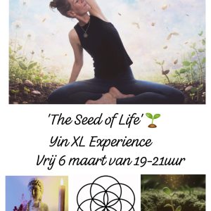 In deze extra lange yin yoga sessie vier en sta je stil bij wat er nu is. Beweeg mee met het ritme van de natuur, maak ruimte en laat de stilte toe voor een verdiepende reis naar binnen toe.